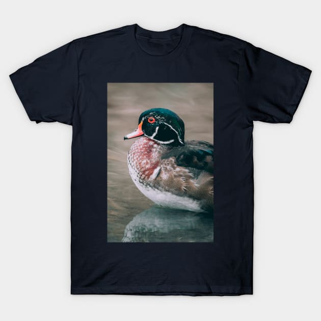 Autumn Wood Duck Swimming in a Pond Photograph T-Shirt by love-fi